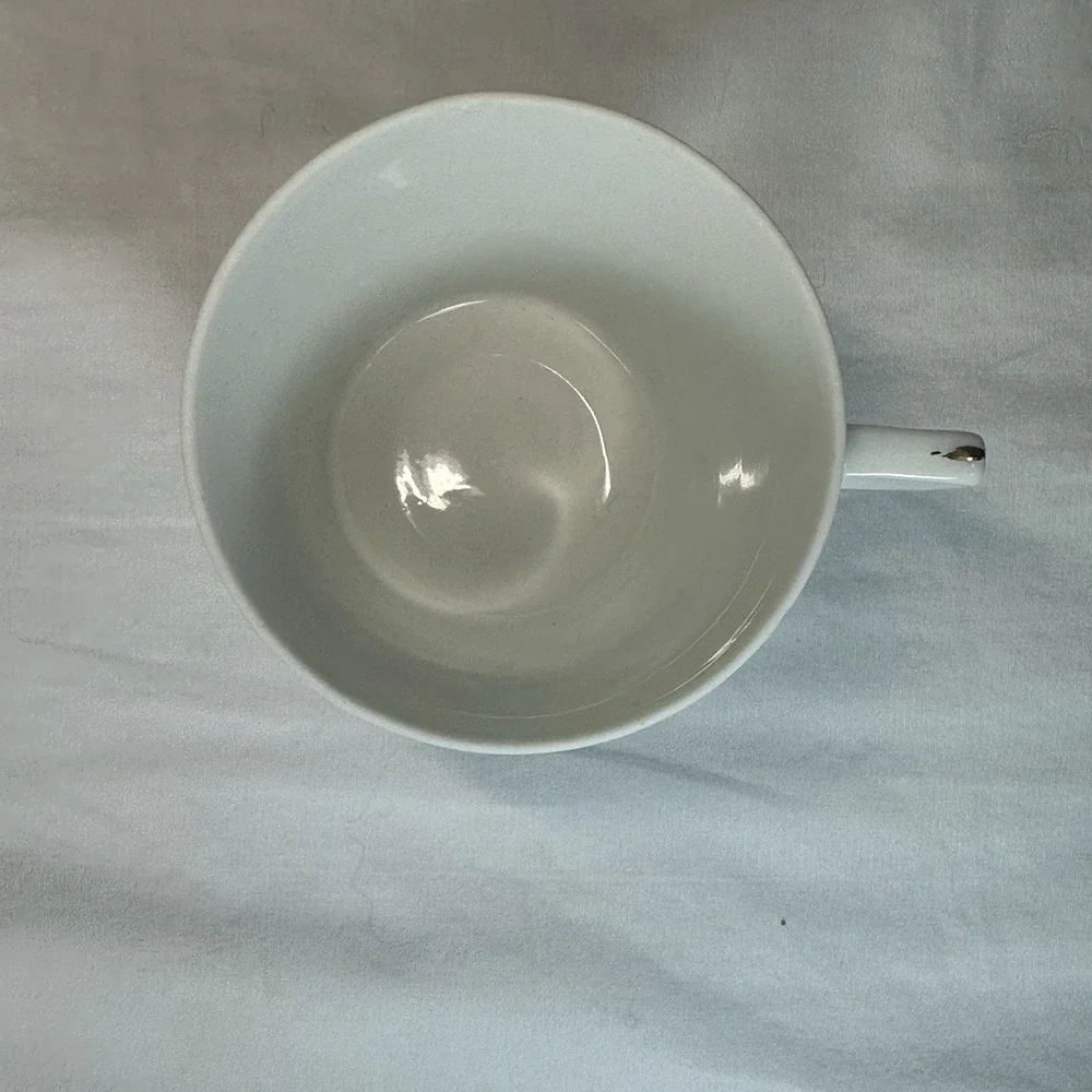 Pink Rose Tea Cup & Saucer Set Embossed Lattice Made in‎ Japan Grandmillennial